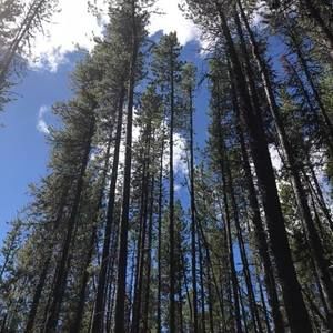 Meet your Posher, Connie